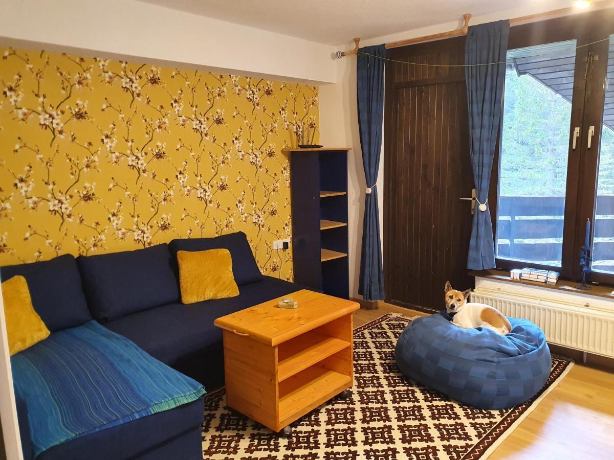 M & M Apartment Krvavec Церкле на Горенскем Екстериор снимка